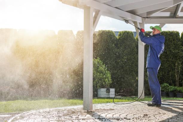Best Driveway Pressure Washing  in Linden, TX
