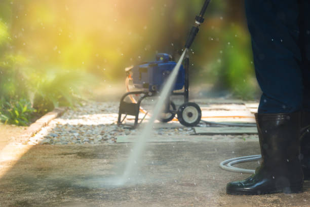 Animal Enclosure Cleaning in Linden, TX